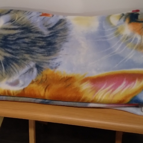 Kitten panel - Picture 3 of 3